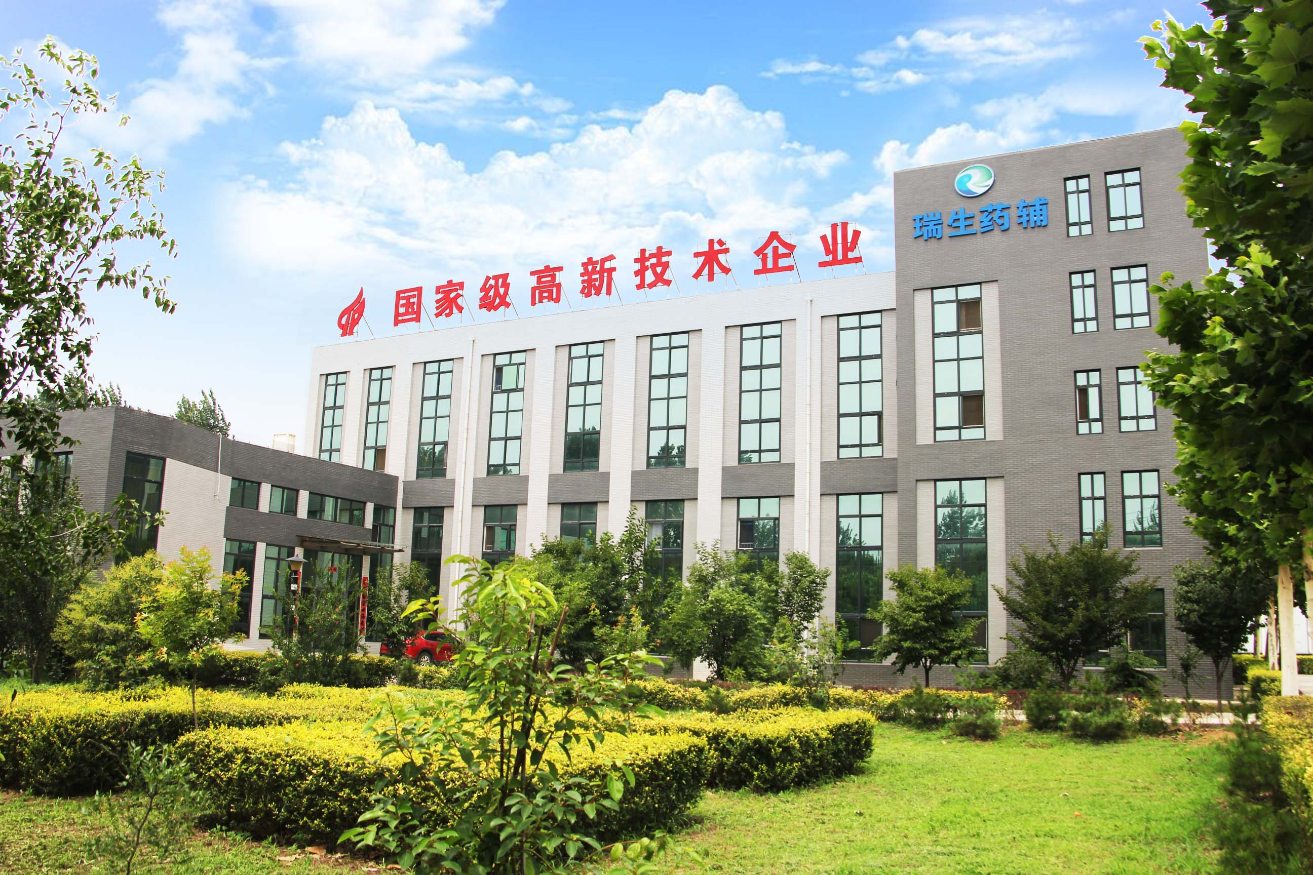 Company profile